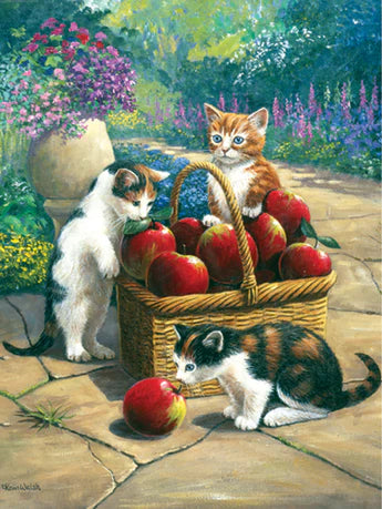 Royal Brush  Paint By Number Bumper Crop
