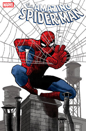 AMAZING SPIDER-MAN