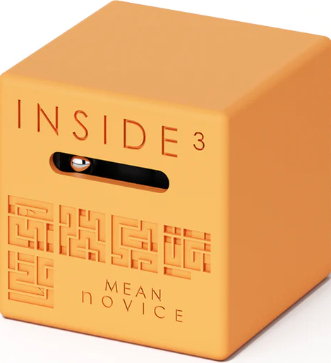 DOUG PUZZLES INSIDE3 ORIGINAL: AWFUL NOVICE