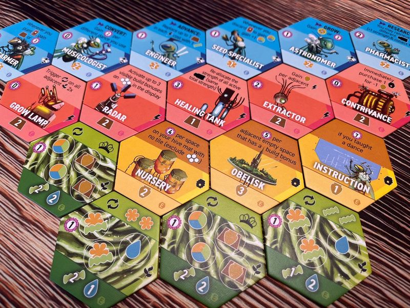 APIARY: EXPANDING THE HIVE