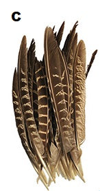 Feather Craft: 6"-8" Au Naturel 8g