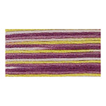 DMC #117 Cotton #3863 to ECRU & DMC #517 - Coloris Floss 8m (83⁄4yd) & DMC #317W Light Effects