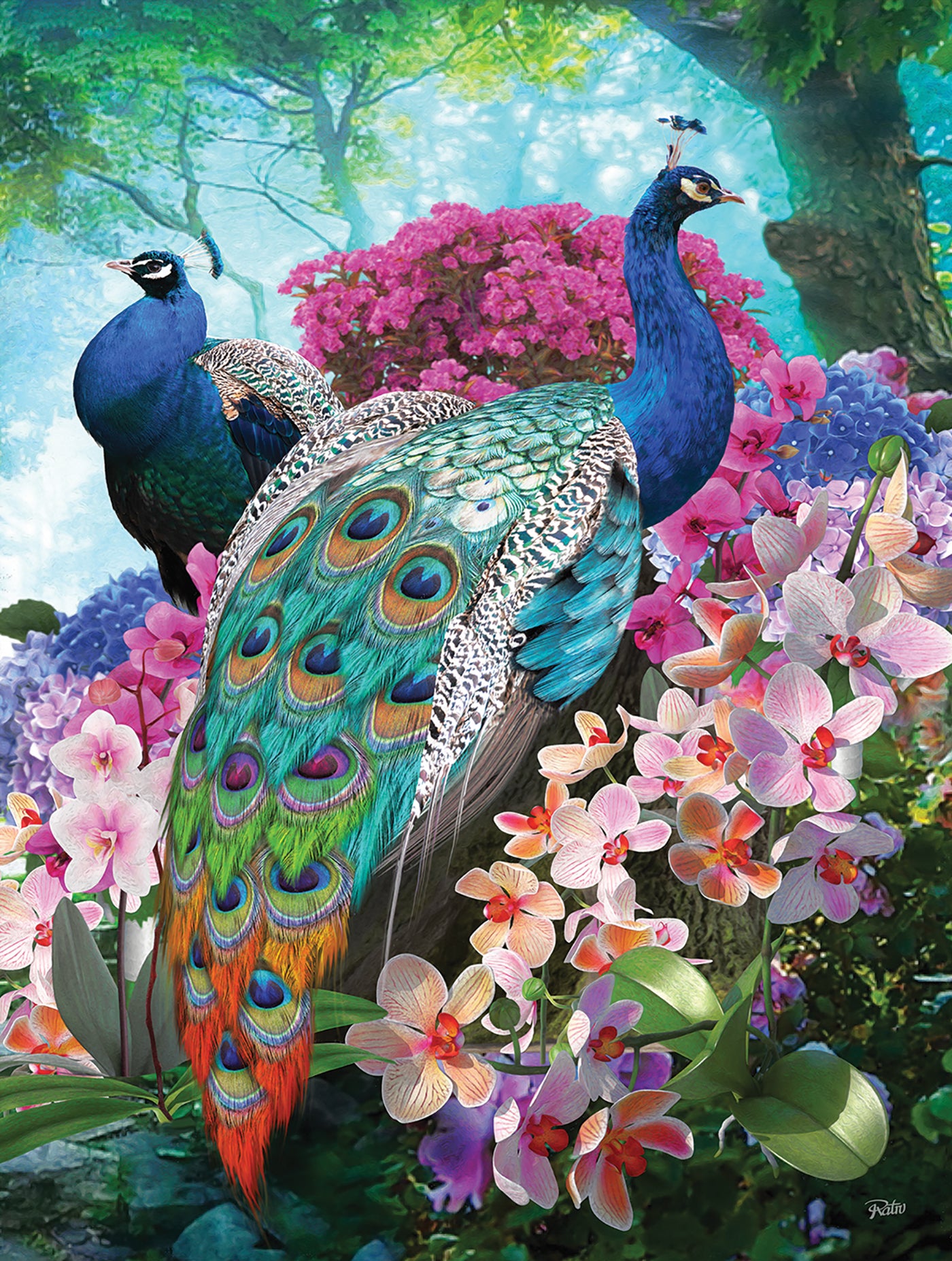 Pretty Peacock 300