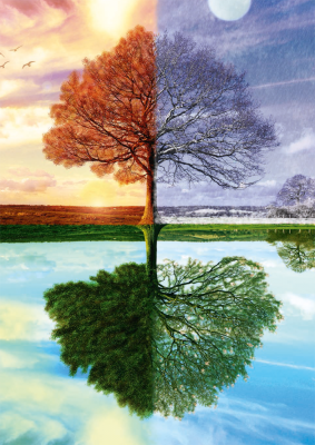 Seasons Jigsaw Puzzle 500 pc