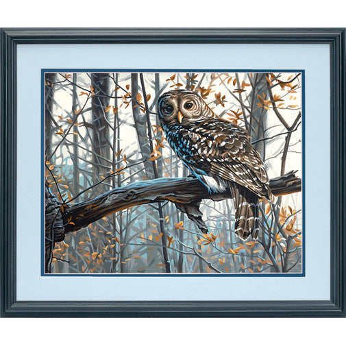 Dimensions 73-91428 14 x 11 in. Paint Work Number Kit, Wise Owl