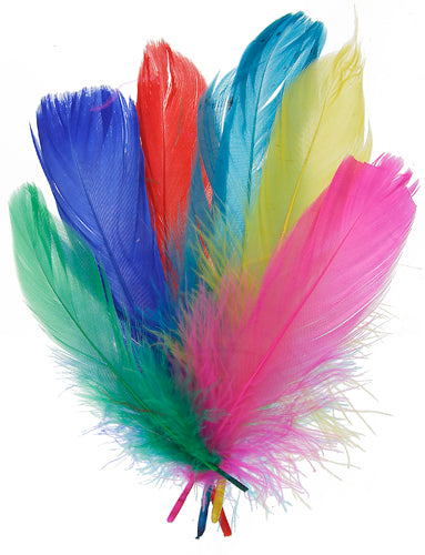 Goose Feathers 5-7in Multi Mix