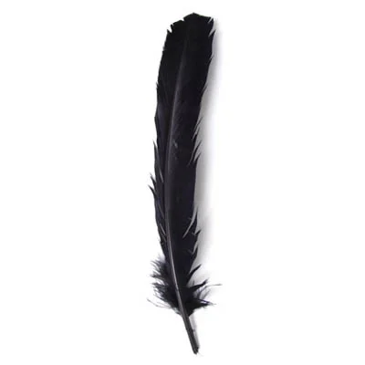 Turkey Quill 12in Black  (3left/3Right)