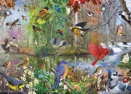 Cobble Hill Birds of the Season 1000pc Puzzles