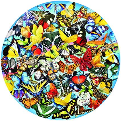 Butterflies in the Round