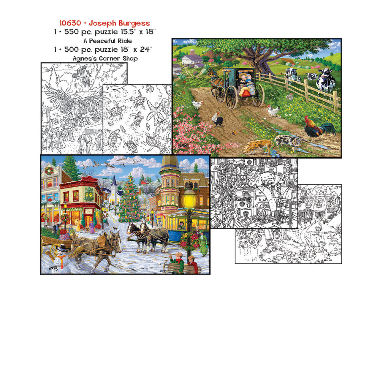 Joseph Burgess Color & Puzzle