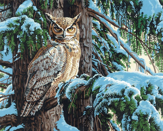 Great Horned Owl, Paint by Number_73-91772