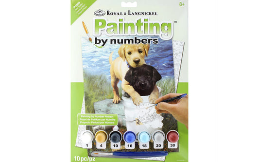 PJS89 ROYAL PAINT BY NUMBER JUNIOR SM FISHIN BUDDIES