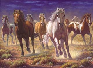 Stampede