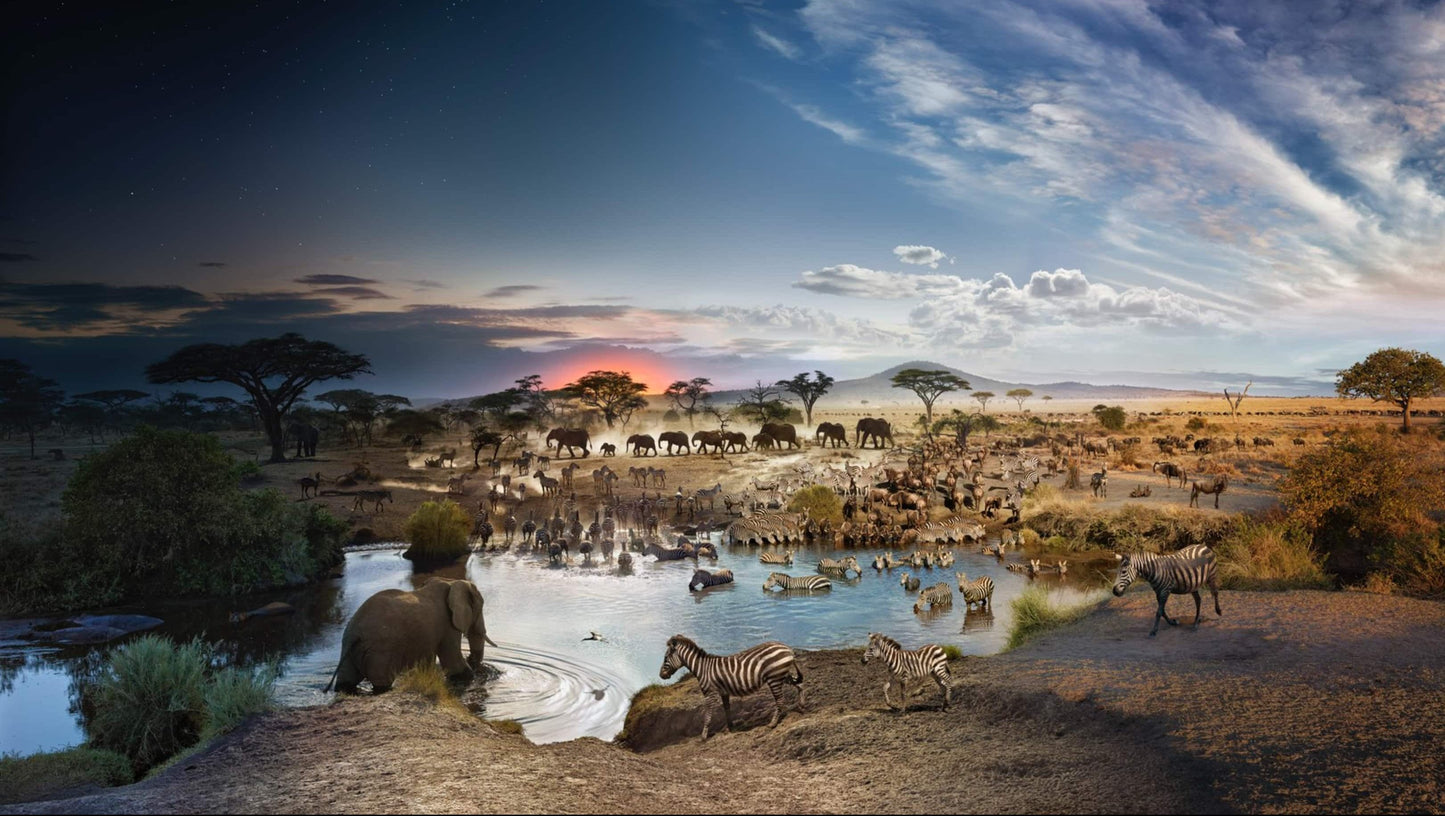Stephen Wilkes Puzzle Serengeti National Park, Day to Night ™  1000pc
