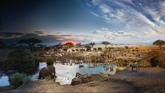Stephen Wilkes Puzzle Serengeti National Park, Day to Night ™  1000pc