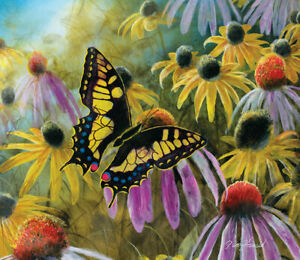 Swallowtail Visitors