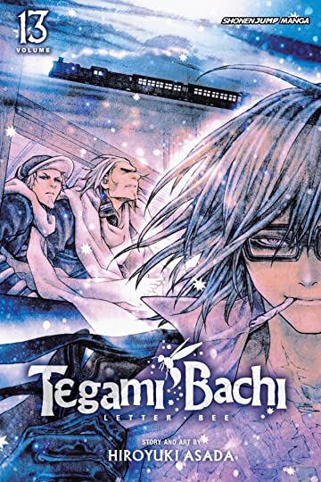 TEGAMI BACHI, VOL. 13: A DISTRICT CALLED KAGEROU