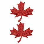 elan® Iron-on Motif