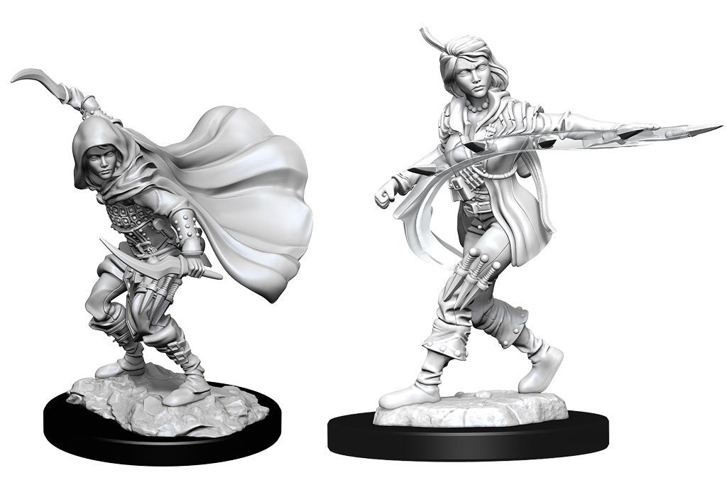 Pathfinder Deep Cuts: Female Human Rogue (90269) Wave 14