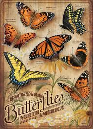 Backyard Butterflies 500 pc