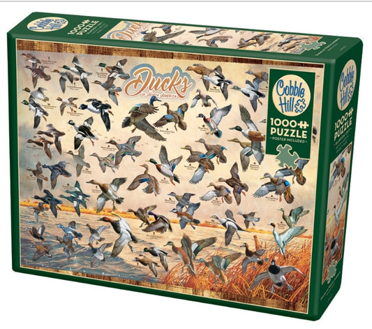 Cobble Hill  1000 Pc Puzzle Ducks of North America