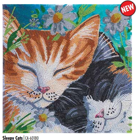 CAK-A170M Sleepy Cats FRAMED CANVAS KIT