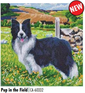 CAK-A183M Pup in the Field FRAMED CANVAS KIT