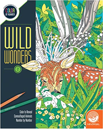 Wild Wonders Color by Number: Book 2