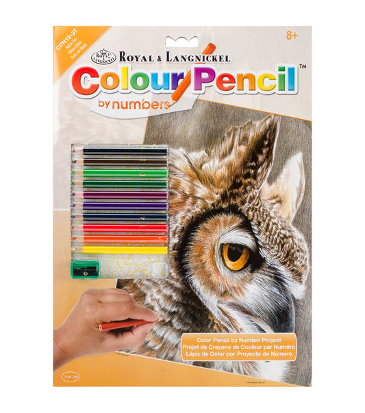 Sepia Owl - CPN19 Royal & Langnickel Pencil By Numbers