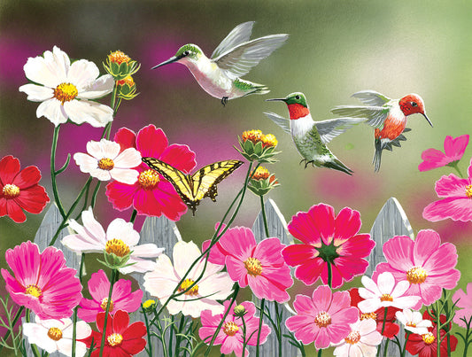 Cosmos and Hummingbirds 500