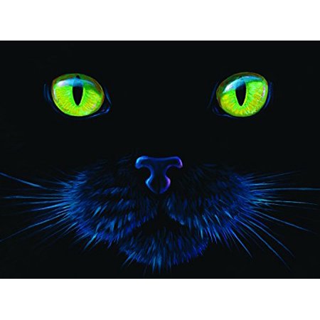 BLACK CAT 1000 PIECE JIGSAW PUZZLE – SUNSOUT