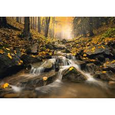 Fabulous Brook Jigsaw Puzzle 1000 pc