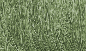 Field Grass Medium Green