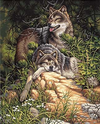 Wild & Free Wolves 16" x20"