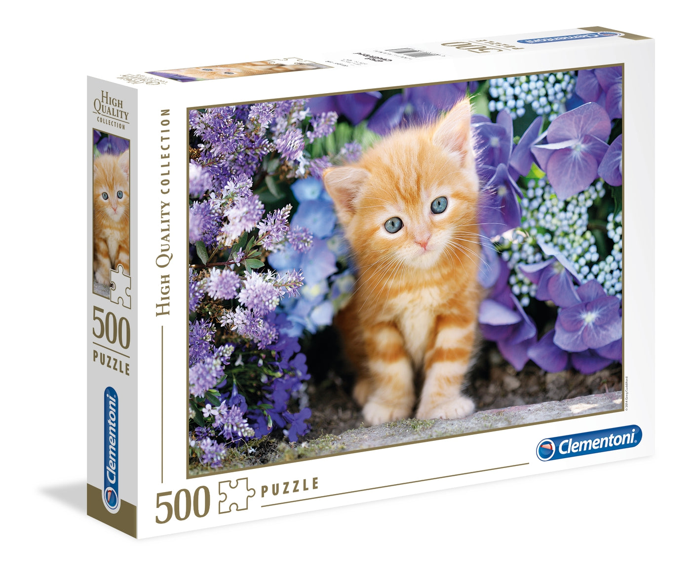 Ginger cat - 500 pcs - High Quality Collection