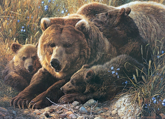 Cobble Hill  350pc Family Puzzle - Grizzly Family