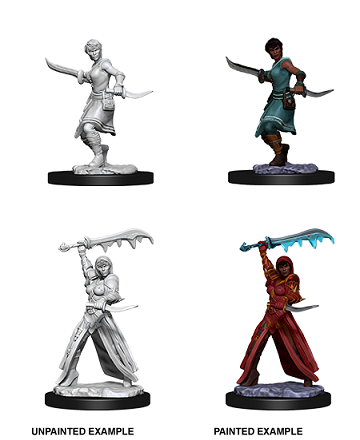 D&D Nolzur's Marvelous Miniatures: Female Human Rogue (73831)