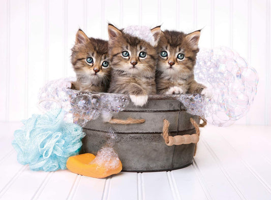 Kittens and soap - 500 pcs - High Quality Collection