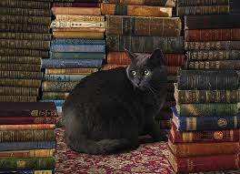 Cobble Hill  1000pc Puzzle - Library Cat