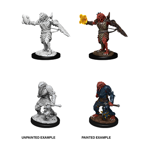 D&D Nolzur's Marvelous Miniatures: Male Dragonborn Paladin (90002)