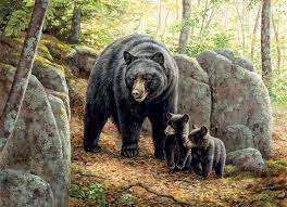 Cobble Hill  1000pc Puzzle - Mama Bear