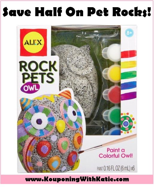Alex Rock Pets Owl Kids Art and Craft Activity