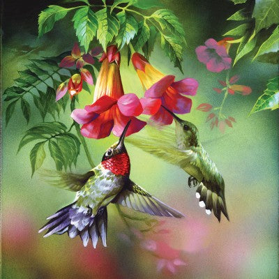 Sunsout 1000pc Puzzle - Summer Hummer