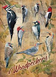 500pc Puzzle Cobble Hill Notable Woodpeckers