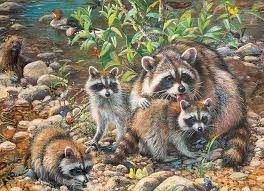 Cobble Hill  350pc Puzzle - Raccoon Family (Family)
