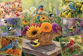 Cobble Hill 2000pc Puzzle - Rosemary's Birds