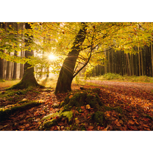 Autumn Magic Jigsaw Puzzle 1000 pc