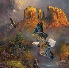 Sedona Eagles 500