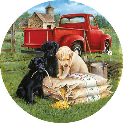 Seeds of Mischief 500 Round