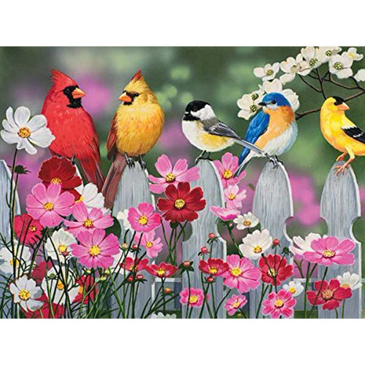 Songbirds and Cosmos 500